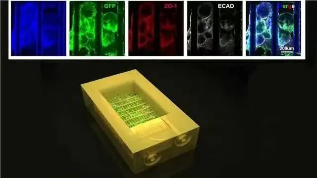 aee076385dce72e400c5ee8ae7f888ff